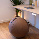 ballon ergonomique SHERA KQUEO_ambiance