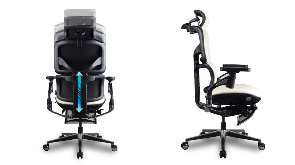dossier réglable en hauteur chaise ergonomique TERRANA Premium Kqueo