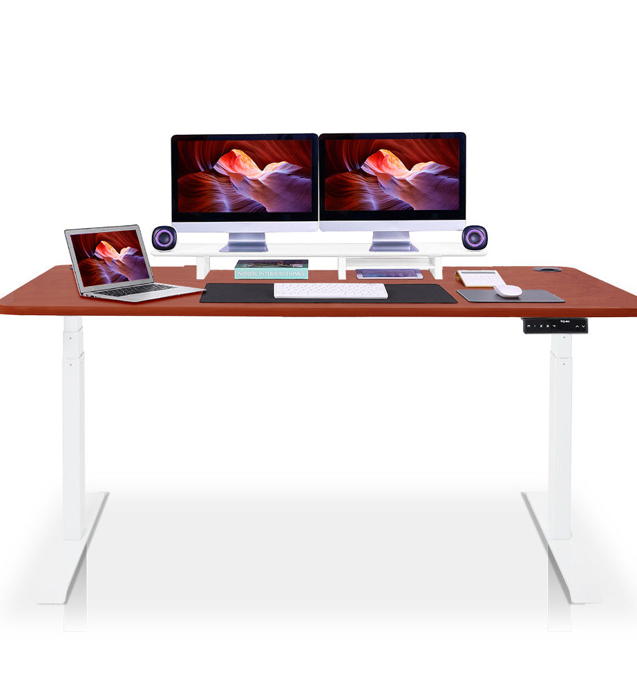 bureau assis debout 200x100cm blanc chene foncé