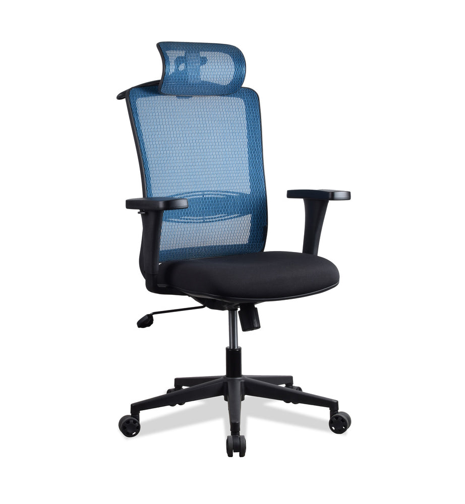 Chaise ergonomique multi réglages bleue LAMA KQUEO