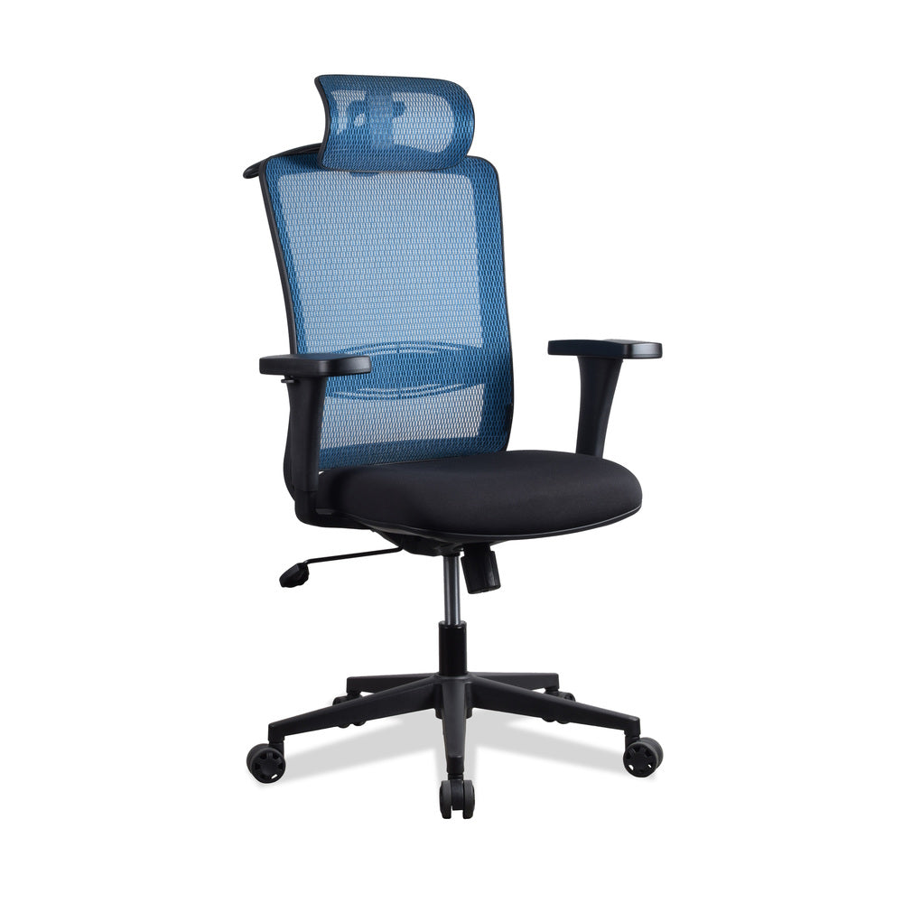 Chaise ergonomique multi réglages bleue LAMA KQUEO