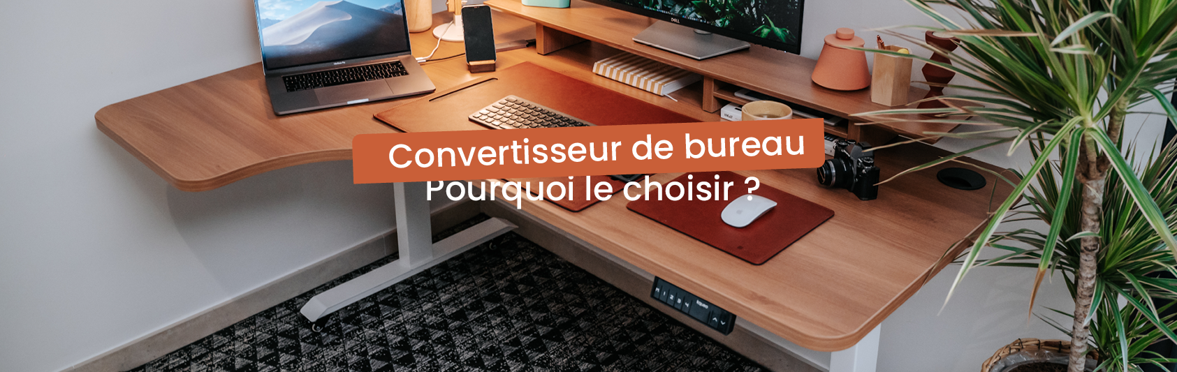 Faut-il choisir le convertisseur de bureau assis debout ?