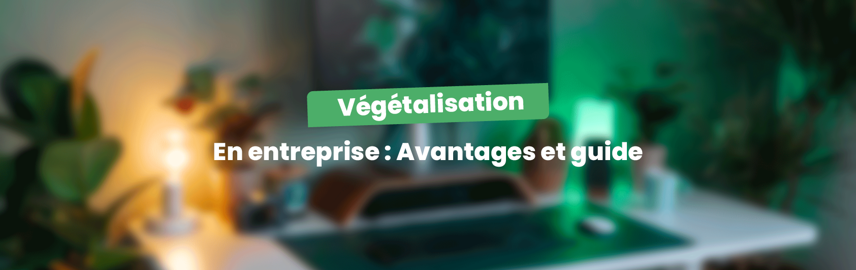 Article végétalisation des bureaux en entreprise